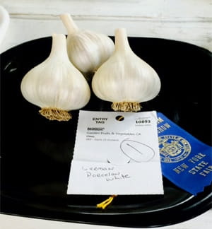 NY State Fair Garlic Competition 1 (1)