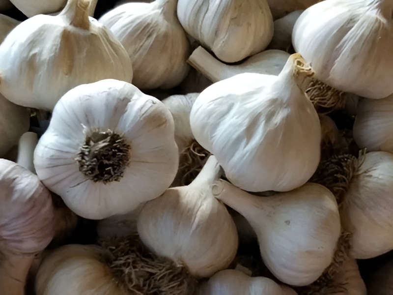 ransom hill garlic 400 300